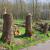 Concorso Forestale