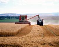 AGEA Agenzia per le Erogazioni in Agricoltura