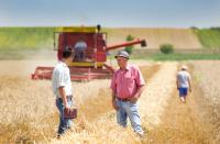 Contributi europei agricoltura