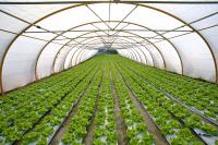 Finanziamenti in agricoltura