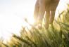 Contributi giovani agricoltori