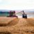 AGEA Agenzia per le Erogazioni in Agricoltura