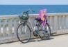 Seggiolini per bici