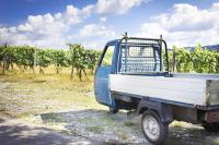 Assicurazione Ape 50