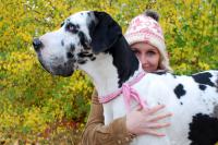 Assicurazione cane Assicurazione cane