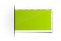 Carta Verde assicurazione