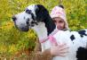 Assicurazione cane