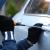 Assicurazione furto incendio