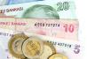 Cambio euro lira turca
