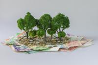 Finanziamenti con cambiali