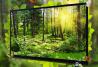 Tv Led