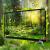 Tv Led