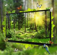 Tv Led