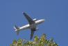 Aeroporto Linate