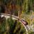 Treni Austria