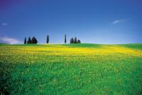 Last minute Toscana Last minute Toscana